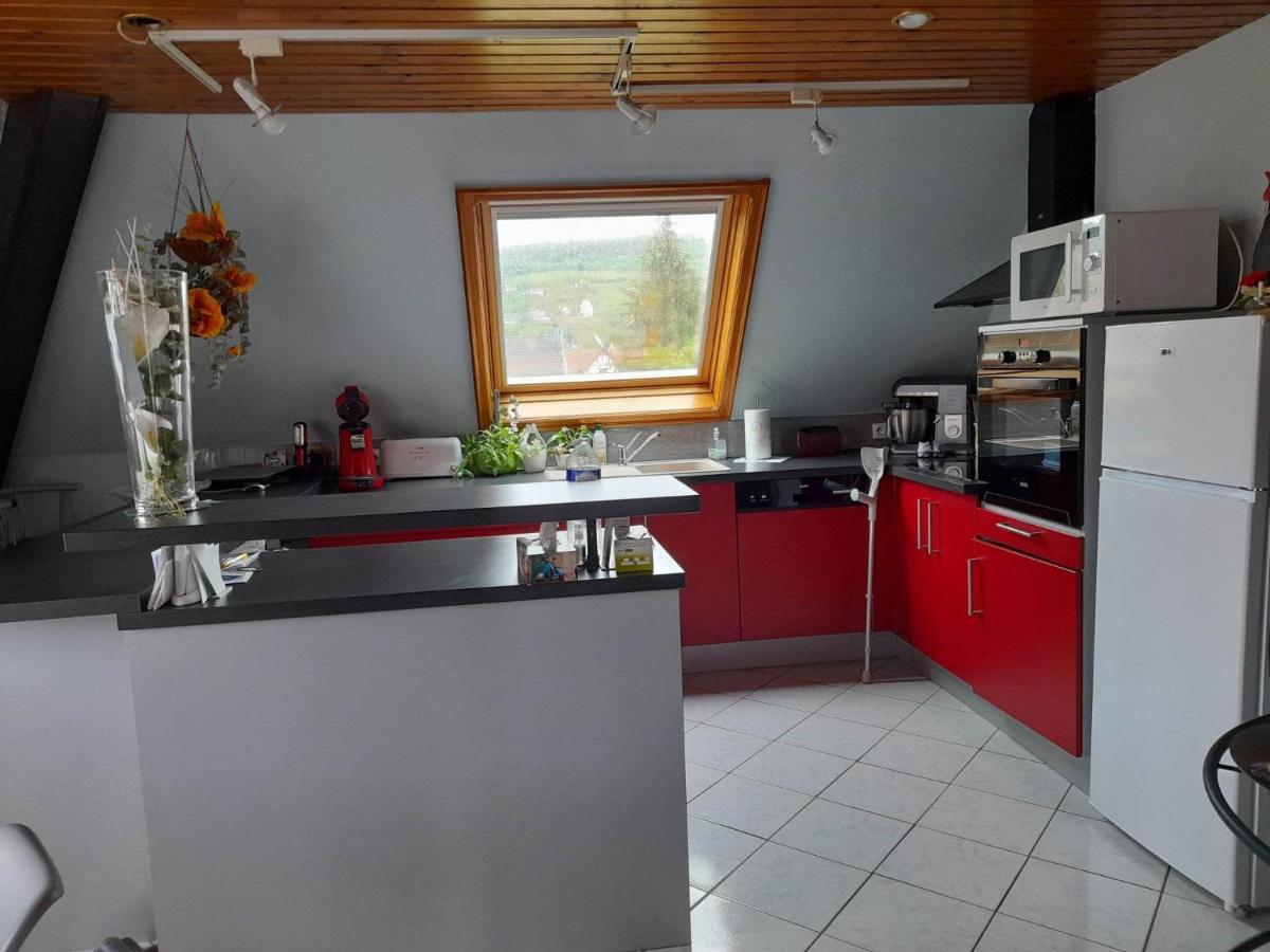 Gite Le Jardin De Hermolsheim. Alsace Tres Spacieux 뮈치 외부 사진