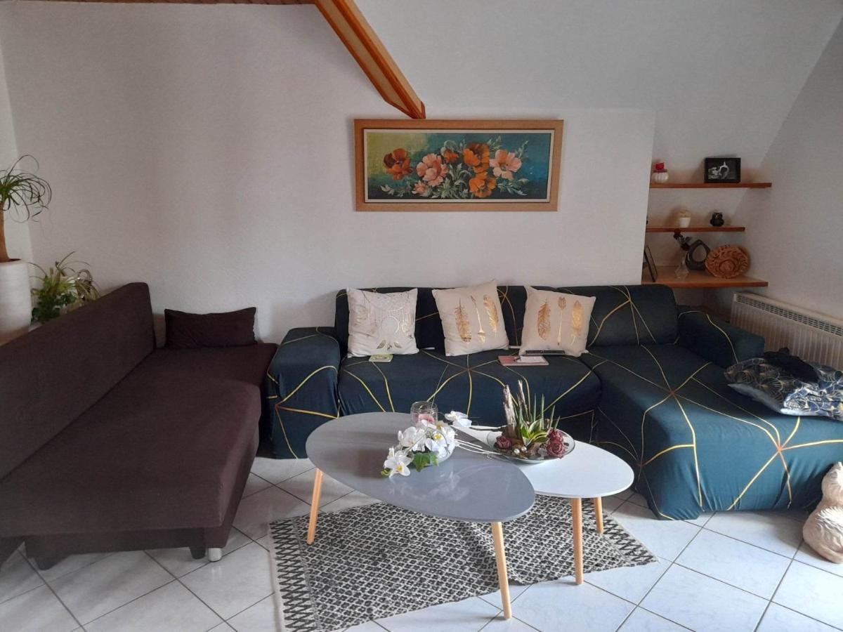 Gite Le Jardin De Hermolsheim. Alsace Tres Spacieux 뮈치 외부 사진